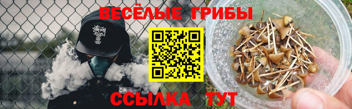 Галлюциногенные грибы мицелий Кыштым